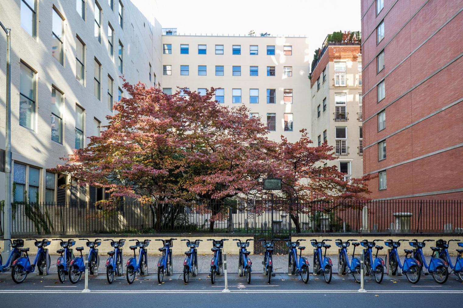 Appartamento Chelsea W Elevator Wd Nr Union Square Nyc-1319